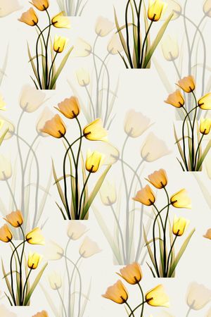 大花印花华亿平台图片