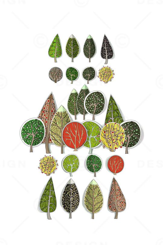 天堂鸟花印花华亿平台图片