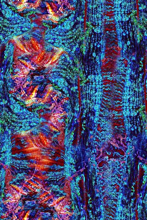 抽象彩绘几何肌理纹印花印花华亿平台图片