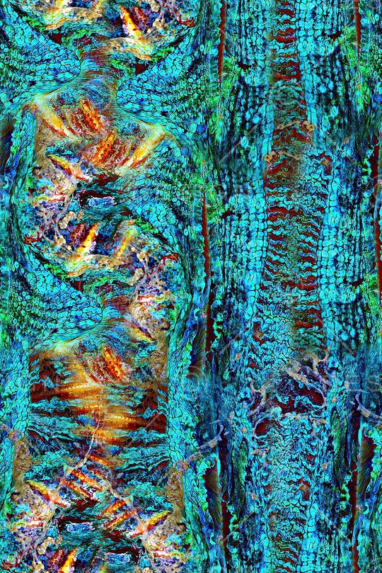 抽象彩绘几何肌理纹印花印花华亿平台图片