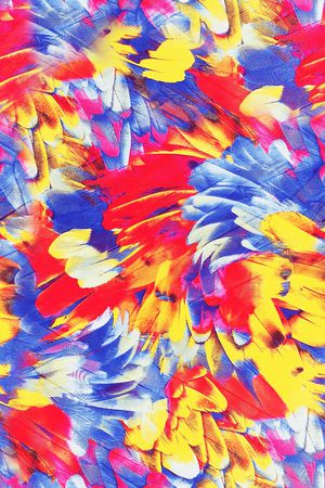 炫彩羽毛印花华亿平台图片