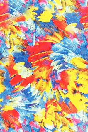 炫彩羽毛印花华亿平台图片