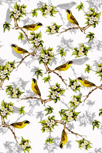 707725-2016-9-18水彩花鸟1