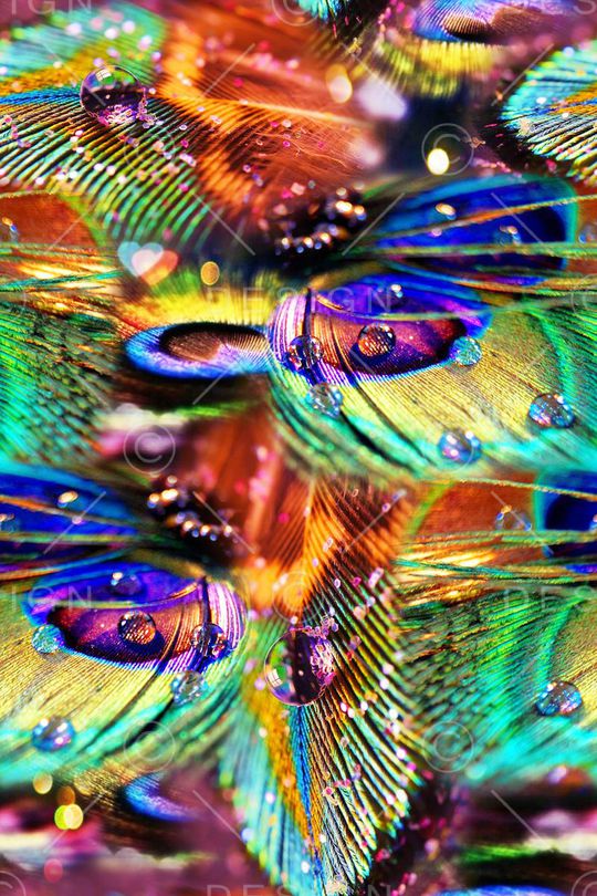 动物纹印花华亿平台图片