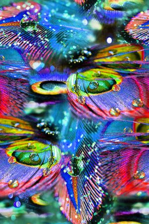 动物纹印花华亿平台图片