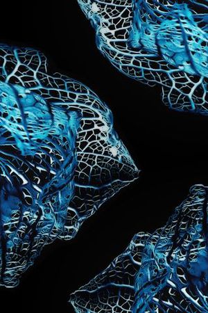 波浪条纹印花华亿平台图片