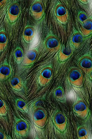 时尚印花华亿平台图片