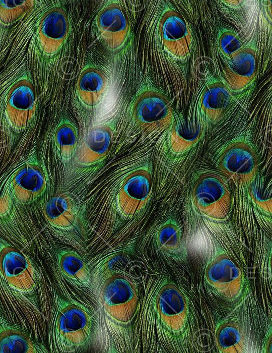 时尚印花华亿平台图片