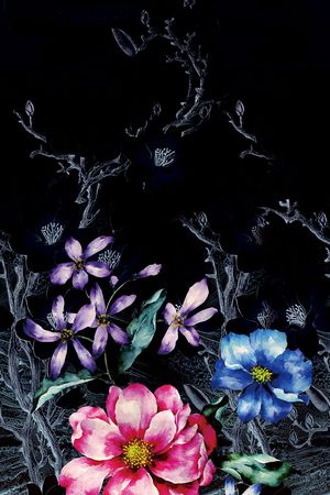 A.I.F时尚女装定位印花华亿平台图片