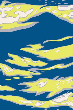 军装迷彩印花华亿平台图片