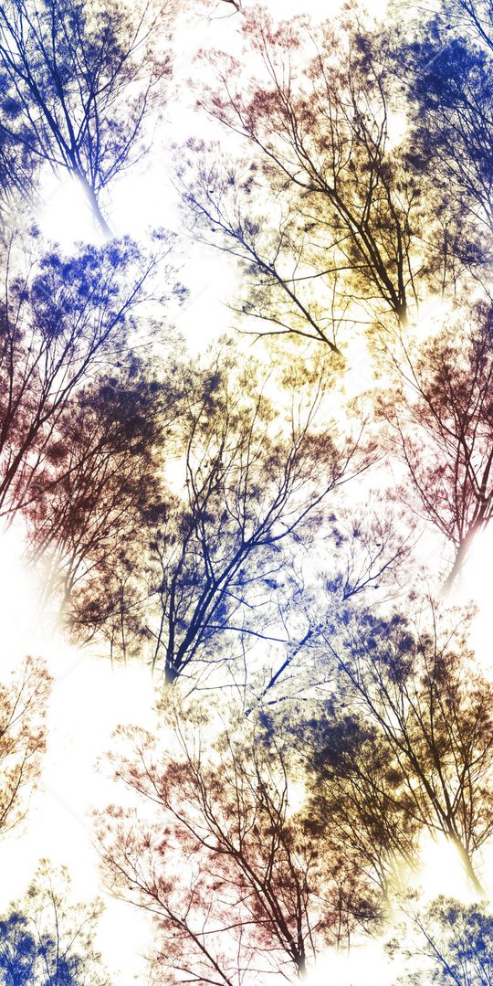 风景印花华亿平台图片