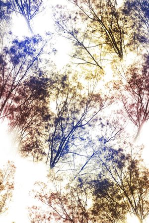 风景印花华亿平台图片