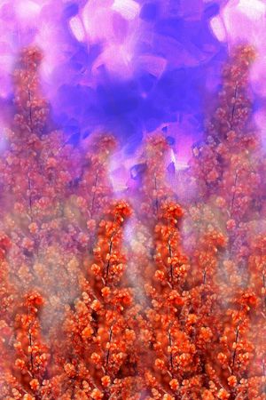 A.I.F时尚女装定位印花华亿平台图片