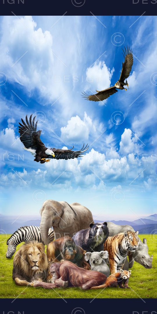 大象印花华亿平台图片