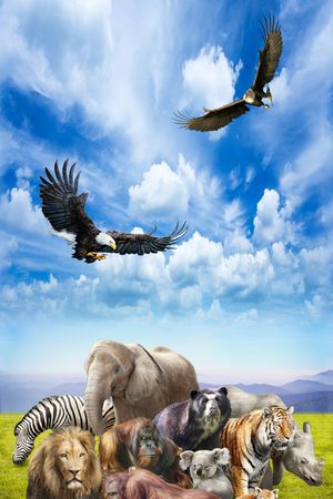 大象印花华亿平台图片