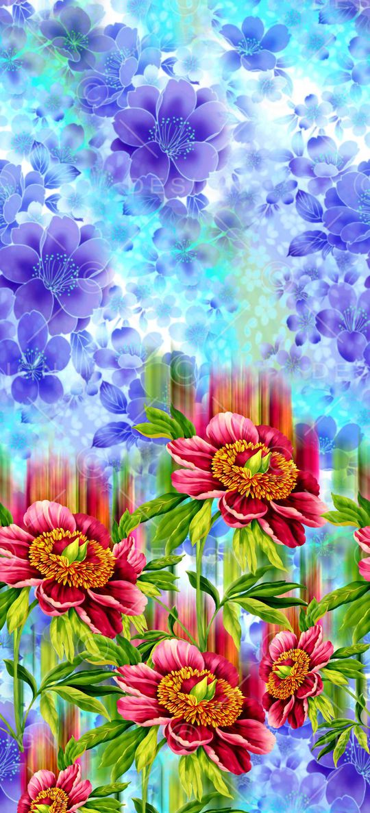 A.I.F时尚女装定位印花华亿平台图片