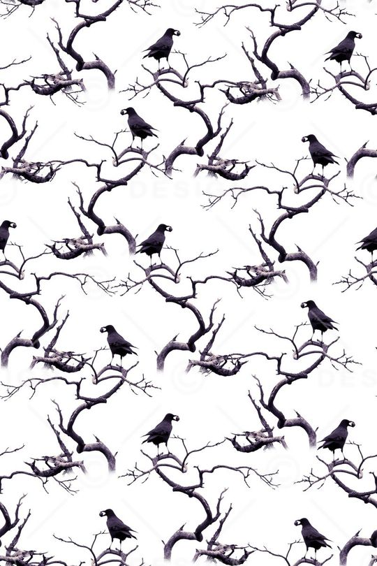 动物印花华亿平台图片