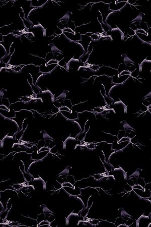 动物印花华亿平台图片