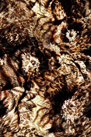 东南亚印花华亿平台图片