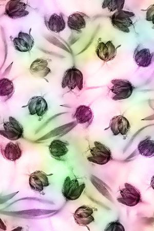 百合印花华亿平台图片