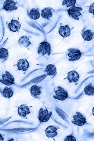 百合印花华亿平台图片