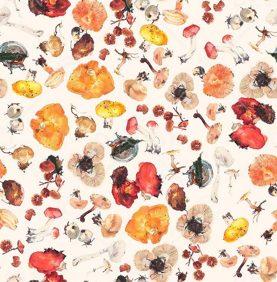 秋天印花华亿平台图片