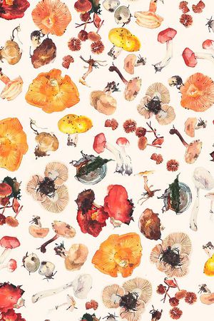 秋天印花华亿平台图片