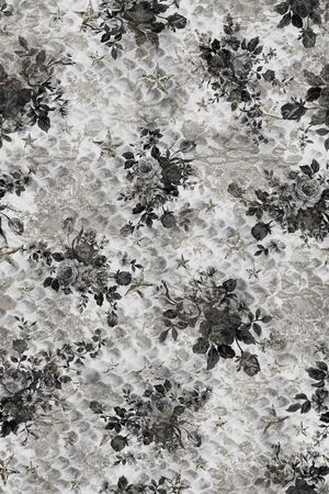 Animal印花华亿平台图片