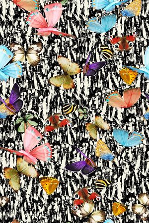 蝴蝶印花华亿平台图片