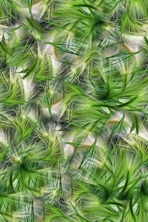 抽象植物草丛朦胧纹理印花印花华亿平台图片