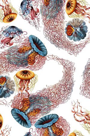 趣味印花华亿平台图片