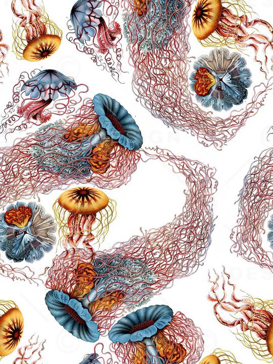 趣味印花华亿平台图片