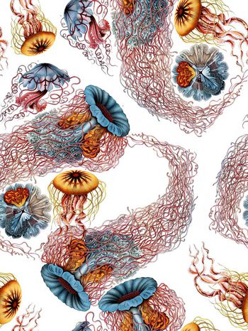 趣味印花华亿平台图片