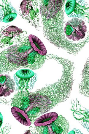 趣味印花华亿平台图片