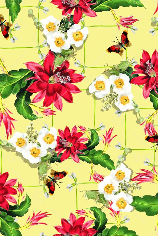 花卉印花华亿平台图片