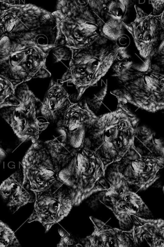 动物印花华亿平台图片