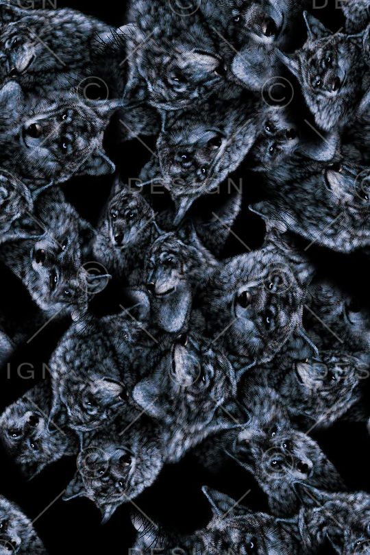 动物印花华亿平台图片