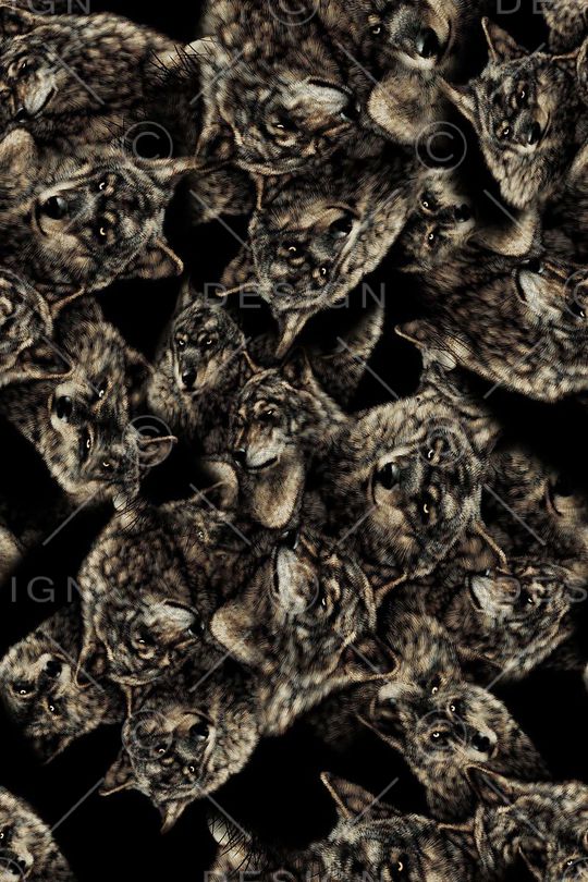 动物印花华亿平台图片