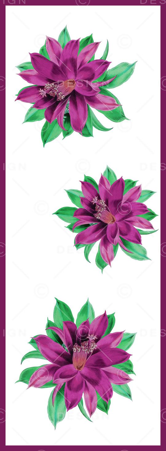 大牌印花华亿平台图片