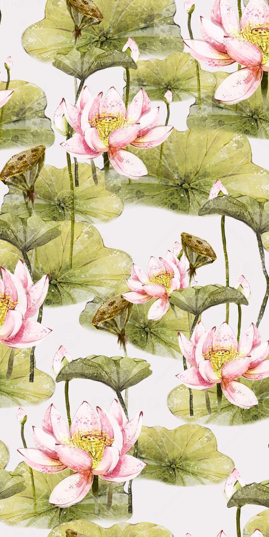 荷花印花华亿平台图片