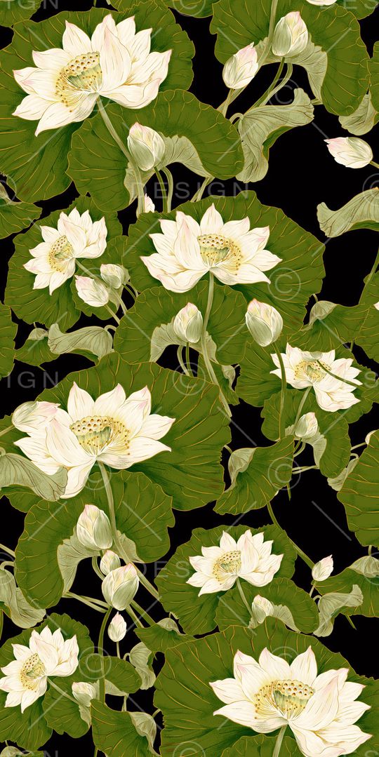 荷花印花华亿平台图片