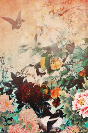 荷花印花华亿平台图片