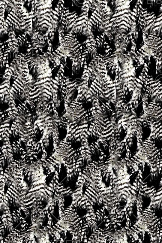 抽象貂毛纹理印花印花华亿平台图片