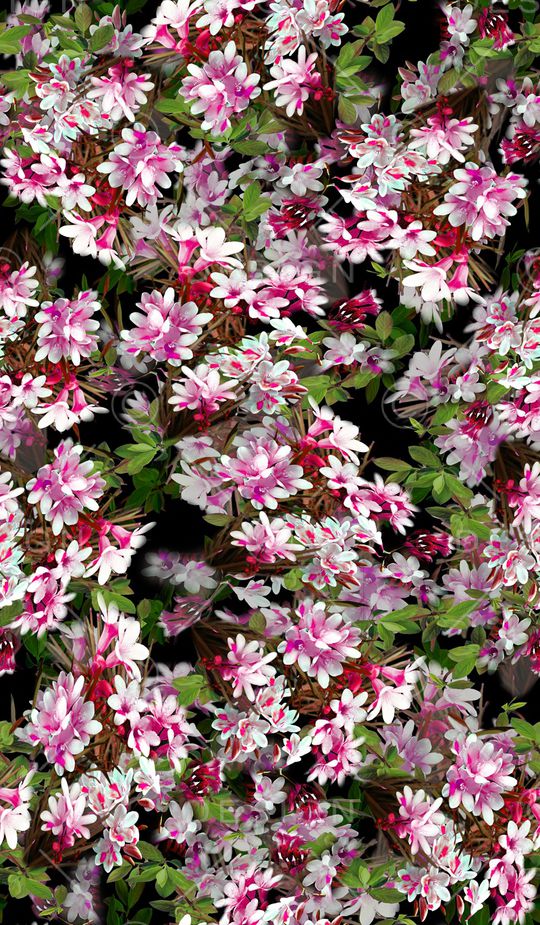 花卉印花华亿平台图片