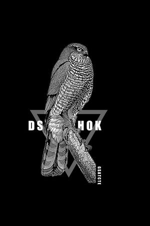 猫头鹰印花华亿平台图片