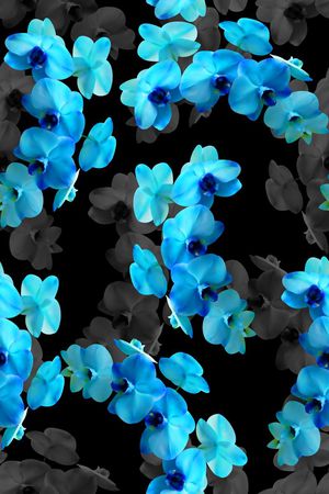 最新高清数码花卉印花华亿平台图片