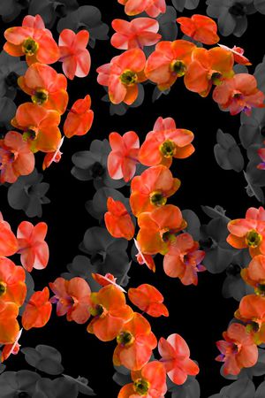 最新高清数码花卉印花华亿平台图片