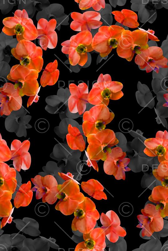 最新高清数码花卉印花华亿平台图片