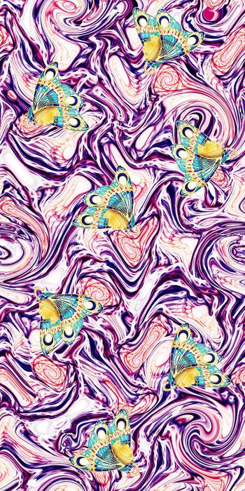 709666-螺旋底纹人面蝴蝶