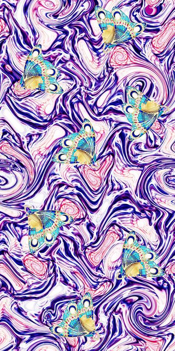 709667-螺旋底纹人面蝴蝶-1